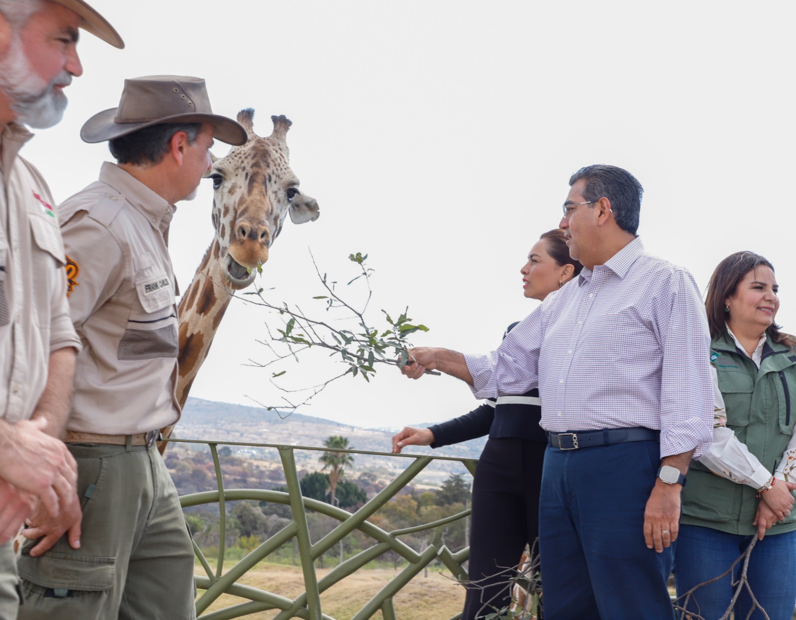 Gobernador da bienvenida a jirafa Benito