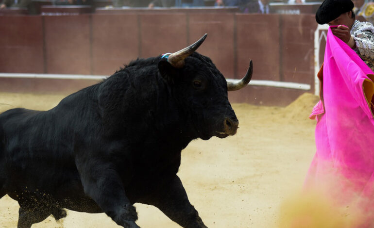 Concede jueza federal suspensión a corridas de toros en Plaza México