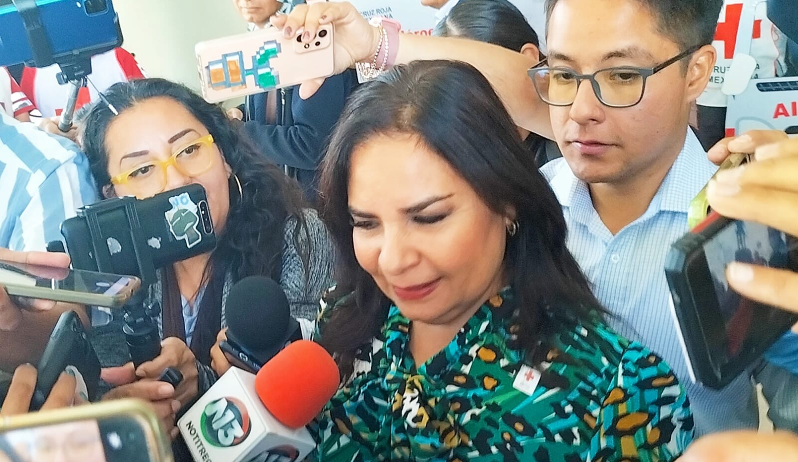 Beatriz Manrique renuncia a la Secretaría de Medio Ambiente Estatal