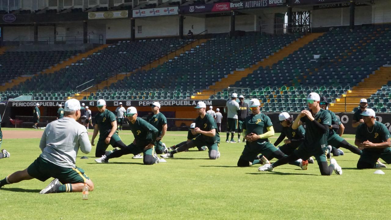 Pitcheo y más pitcheo, es lo que presume Pericos en la pretemporada