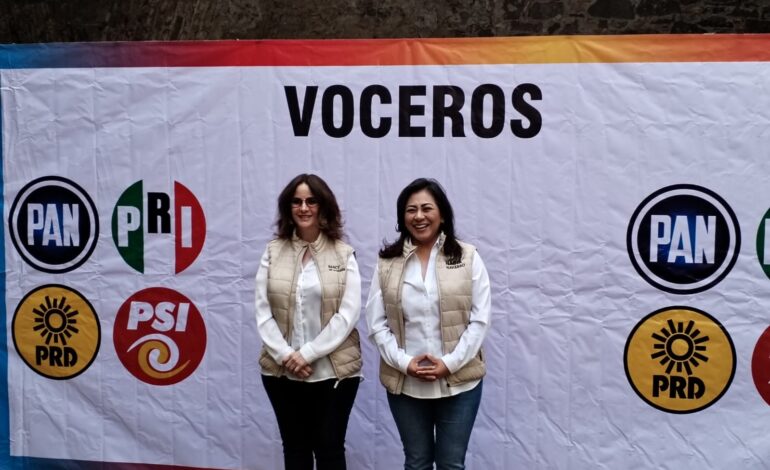 Candidatos de la Mixteca y Sierra Negra son los que corren más riesgo: Nadia Navarro