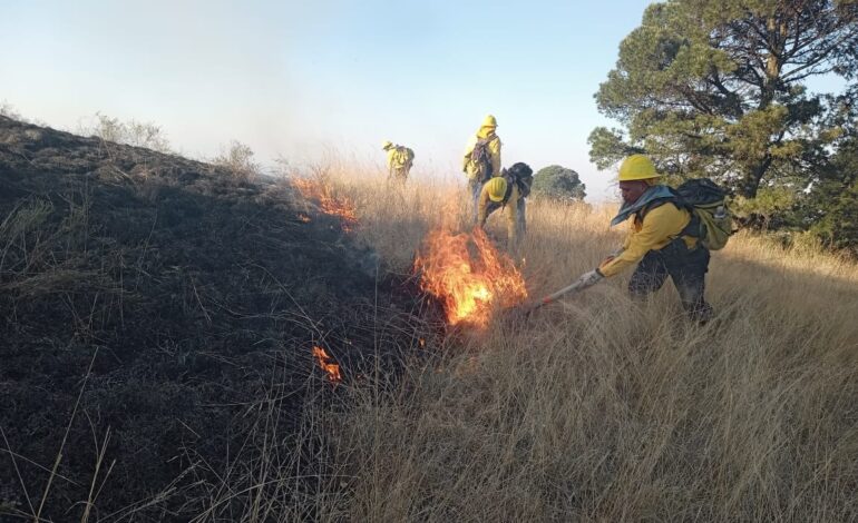 Liquidan incendio del cerro Zapotecas