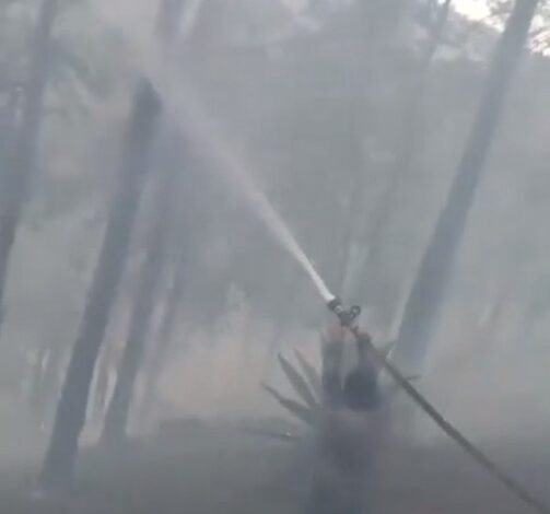 Alerta en San Felipe Maderas por incendio forestal