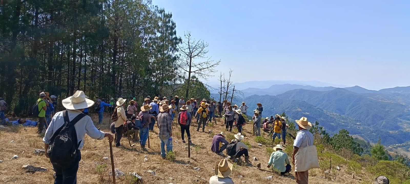 Controlan al 80% incendio en Coyomeapan