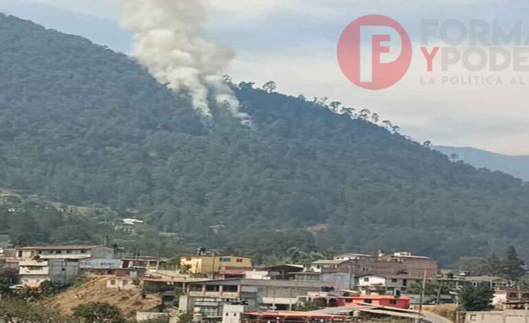 Acusa Medio Ambiente nuevo incendio provocado en Tetela de Ocampo