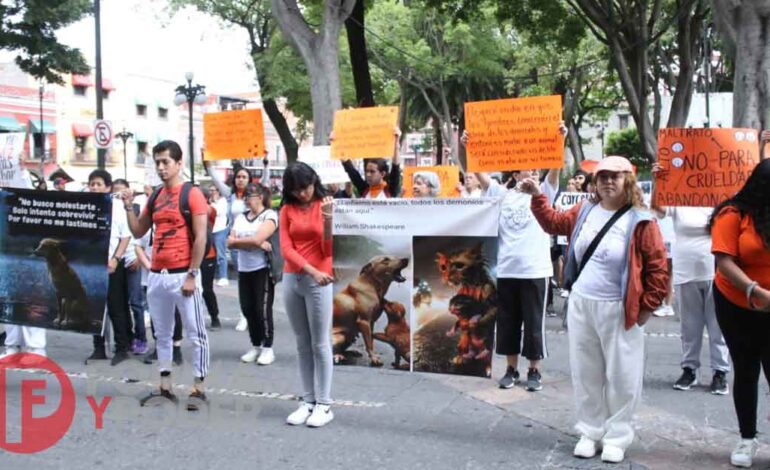 Poblanos exigen respetar los derechos de los animales