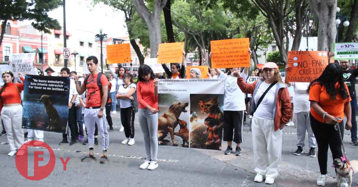 Poblanos exigen respetar los derechos de los animales