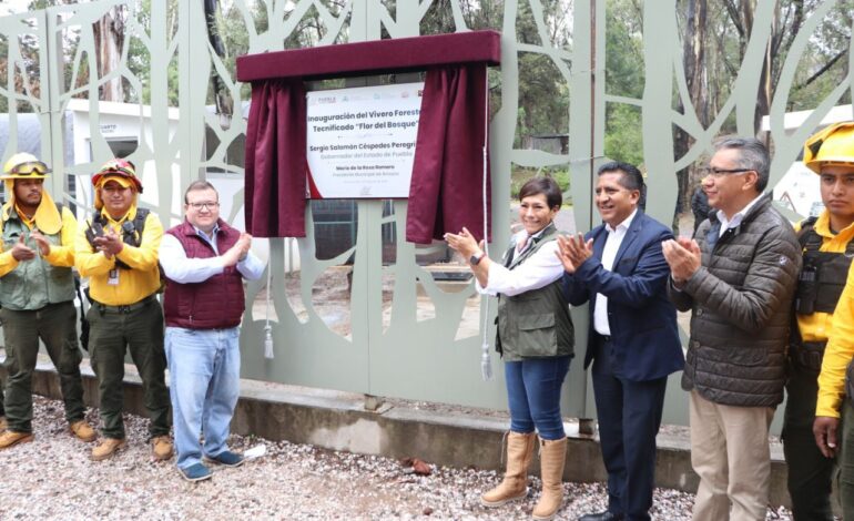 Producirá vivero “Flor del Bosque” 200 mil plantas anualmente: Medio Ambiente