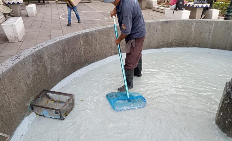 Da Ayuntamiento de Puebla mantenimiento en parques y jardines