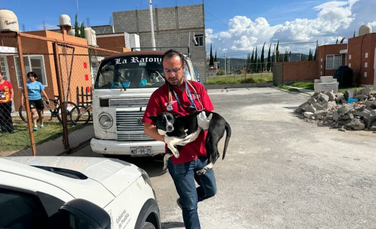 Rescatan a perrito encadenado a combi en Amozoc