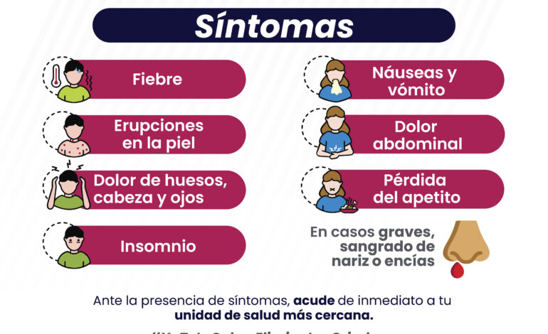 Reporta Salud aumento de hospitalizados por dengue