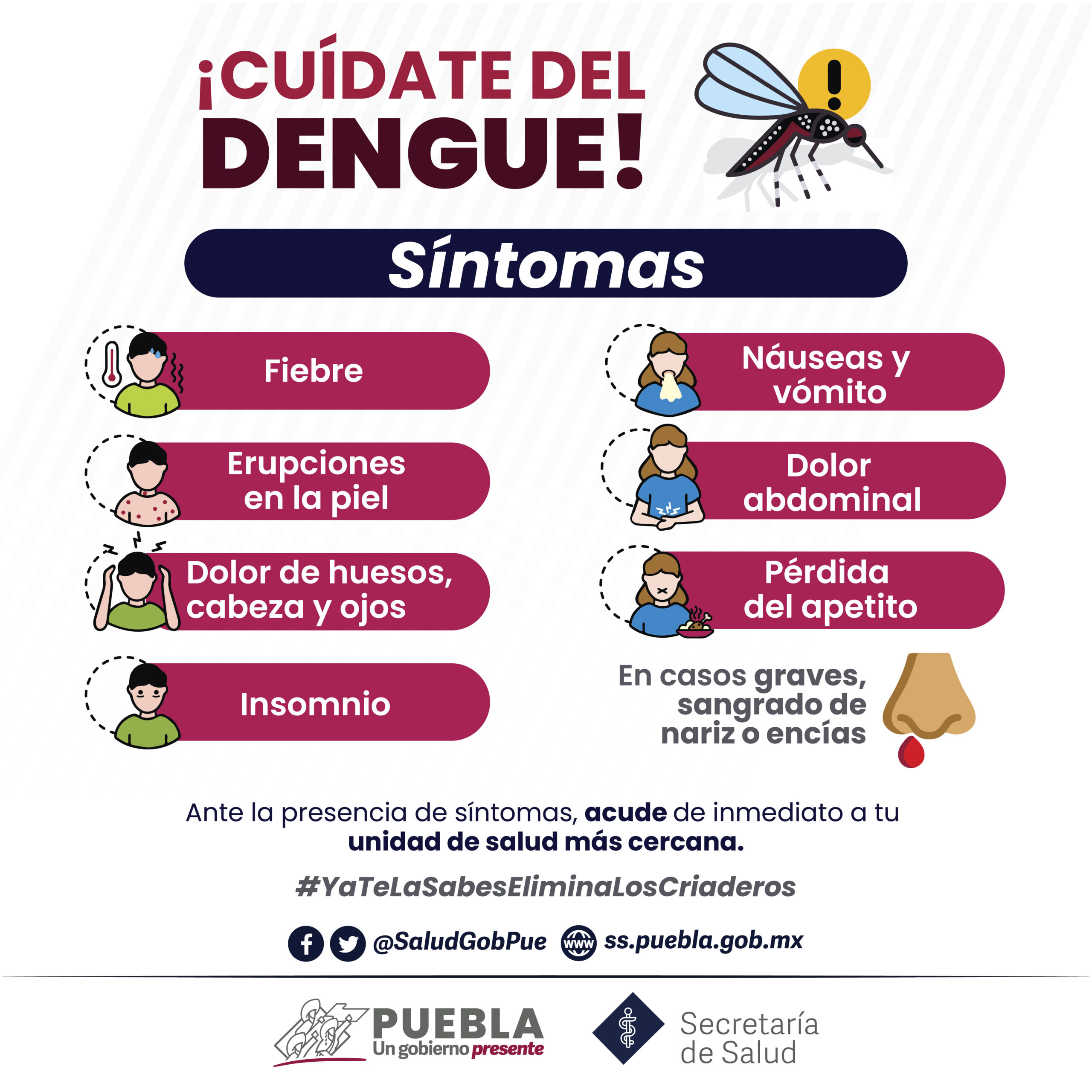 Reporta Salud aumento de hospitalizados por dengue