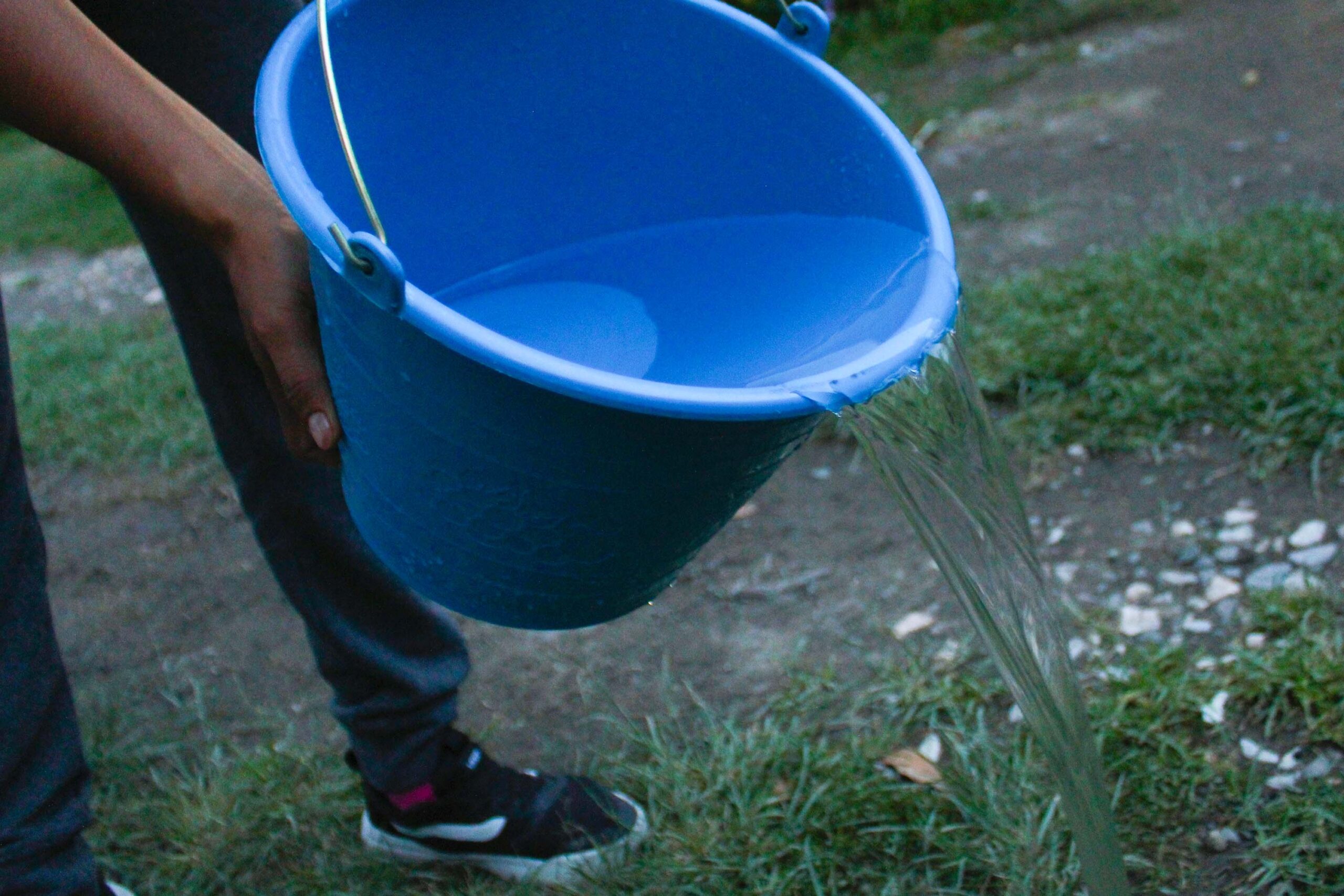 Siete fallecidos por dengue en Oaxaca