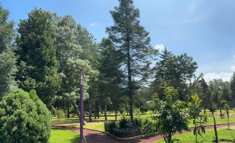 Cierre Temporal del Jardín Botánico de Tizatlán por daños provocados por lluvias