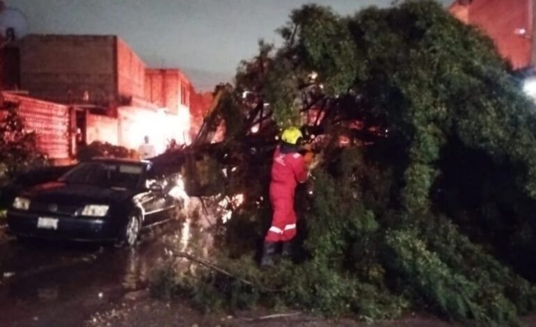 Causan lluvias estragos en el estado