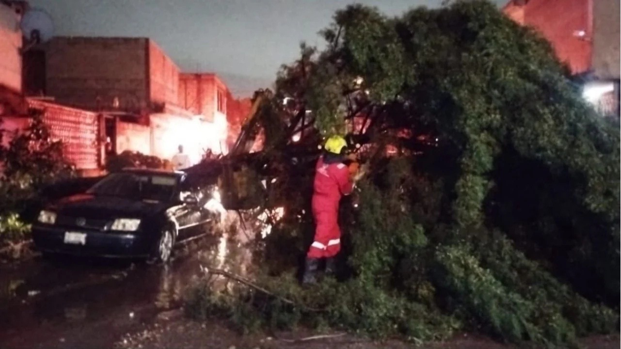 Causan lluvias estragos en el estado