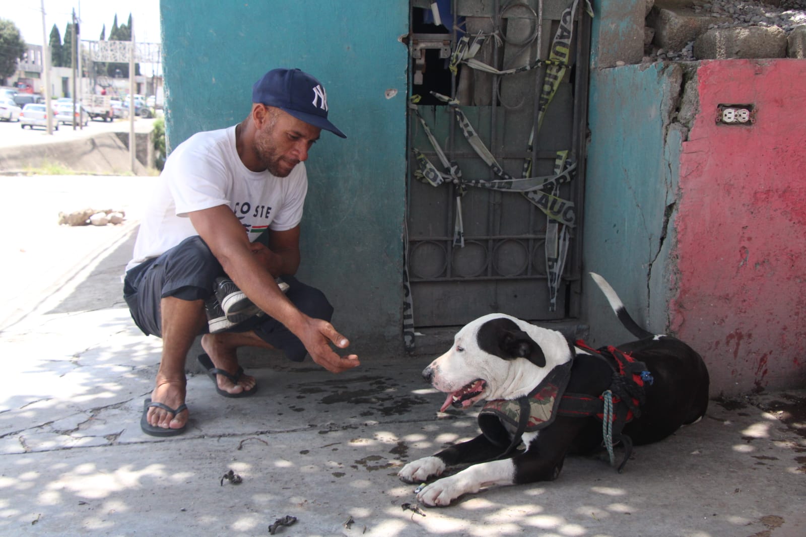 Conoce a Rocko, el perrito migrante