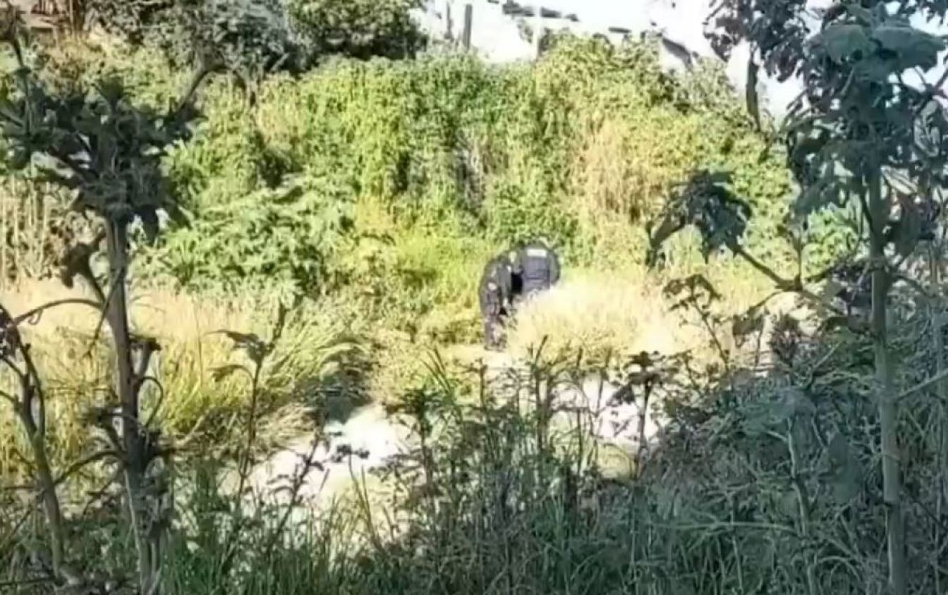 Hallan cadáver embolsado en la autopista