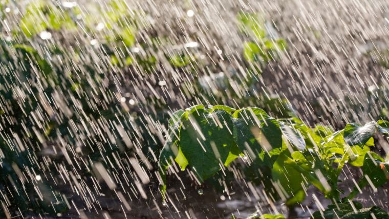 Generará fenómeno “Once-E” fuertes lluvias en Puebla