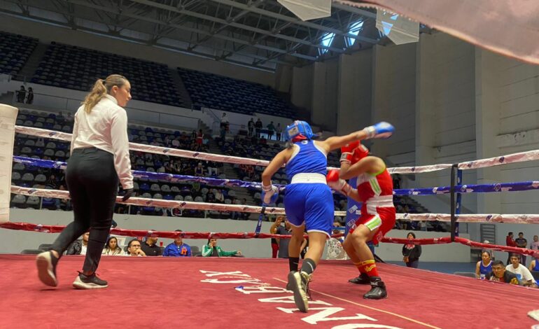 Torneo Guantes de Oro Puebla 2024: la recta final