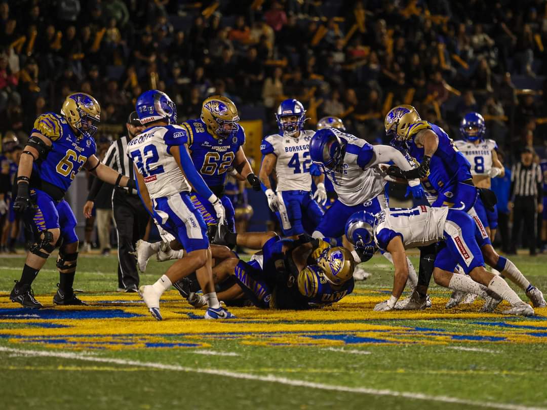 Auténticos Tigres eliminan a los Borregos Puebla en semifinales