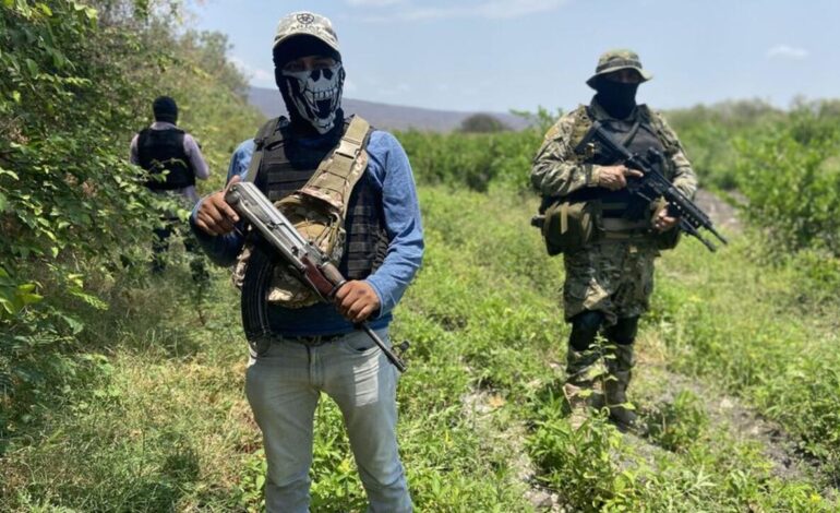 Designa EU terroristas a 6 cárteles mexicanos