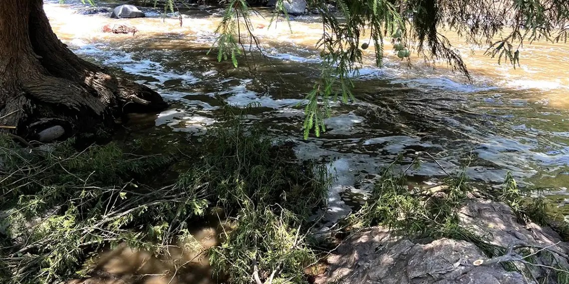 Localizan el cuerpo de un hombre sin vida en el río Nexapa