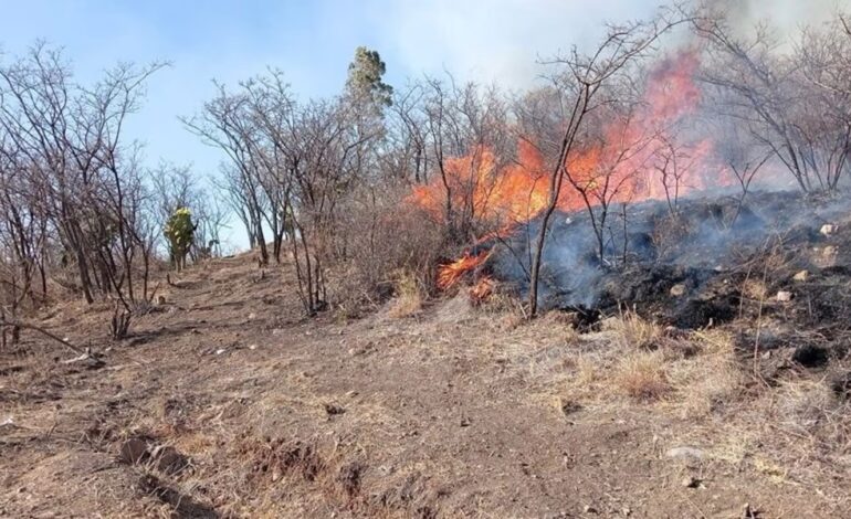 Suman 44 incendios forestales en el país