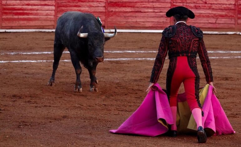 Proponen corridas de toros sin violencia